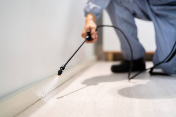 Licensed Rodent Control service in Reminderville, OH - Nex Pest Control