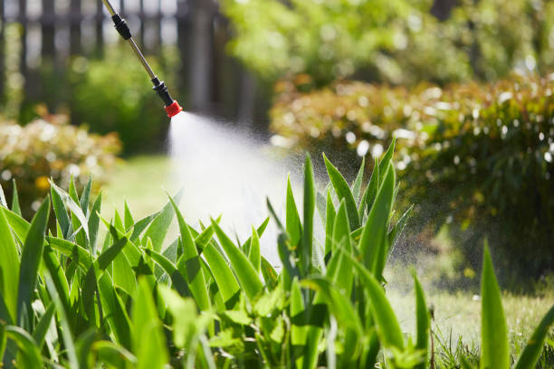 24/7 Emergency Rodent Control experts in Reminderville, OH