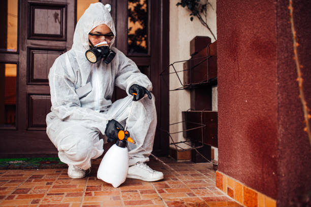 Reliable Rodent Control contractor in Reminderville, OH by Nex Pest Control